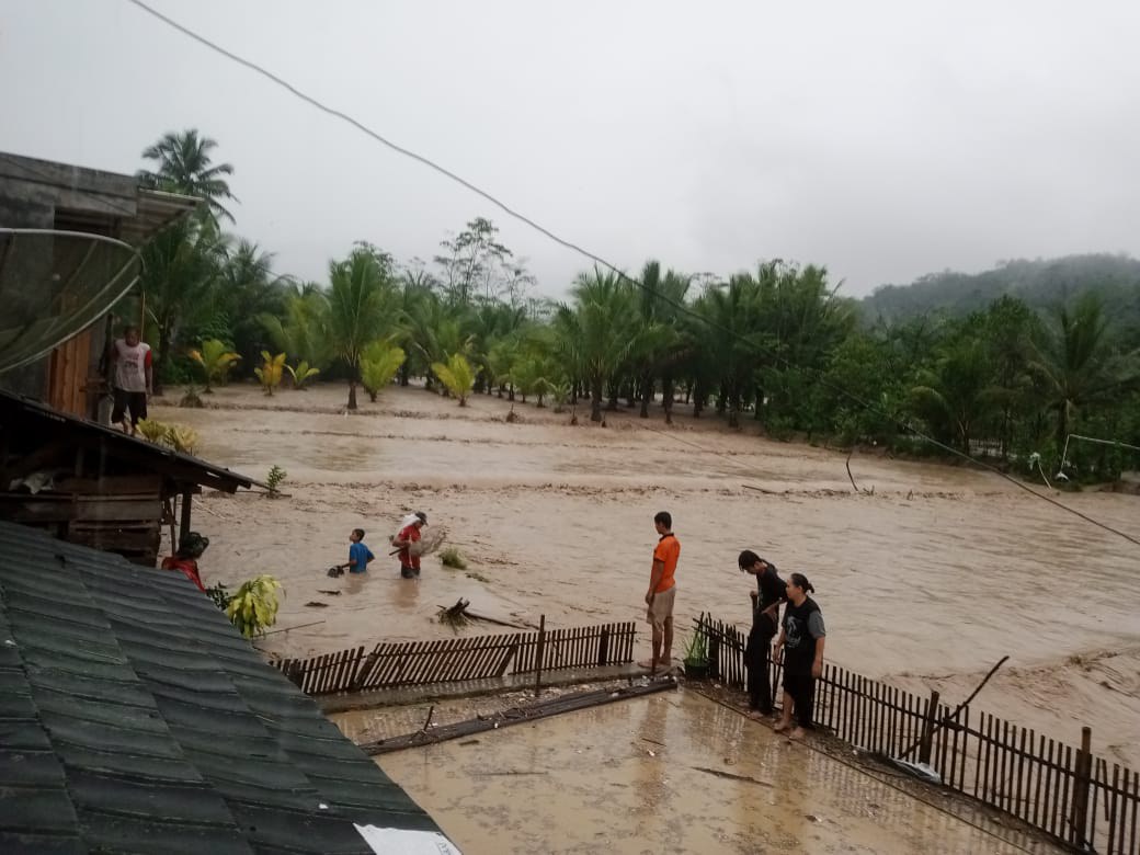 Luapan Sungai Cimaruban Porak Porandakan Puluhan Hektar Sawah Dan Kolam