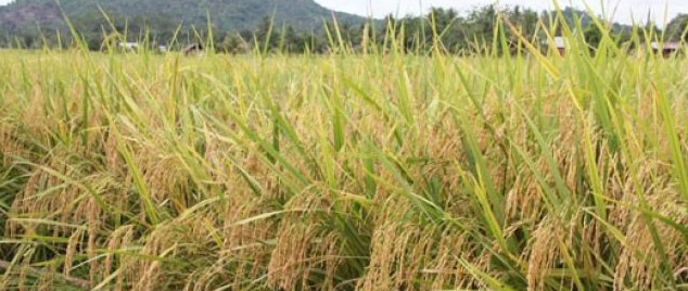 Kapolda Sambangi Pelabuhanratu Kabupaten Sukabumi