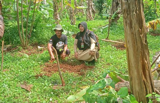 Dukung Program Pemulihan DAS, Pemdes Cicantayan Tanam 1500 Pohon