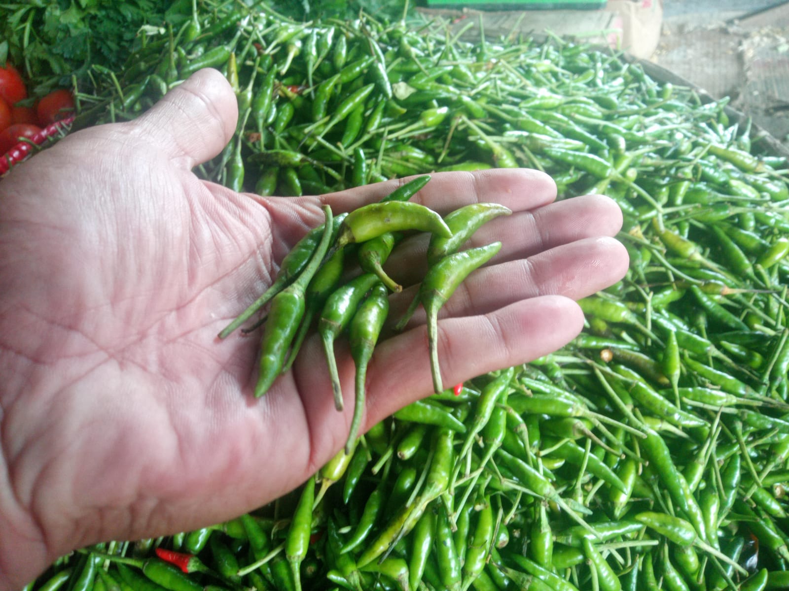 Jelang Nataru, Harga Telur Meroket Komoditi Cabai Mulai Merangkak Naik