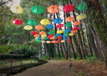 Wisata Bukit Baros Sukabumi, Keindahan Alam di Antara Deretan Hutan Pinus