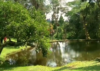 Wisata Alam Cakrawala