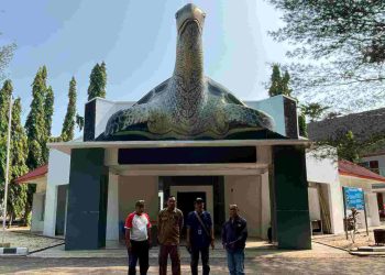 Konservasi Penyu di Pantai Pangumbahan Jadi Magnet Wisatawan