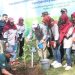 Sekda Kabupaten Sukabumi Jadiri Penanaman 6.000 Pohon Produktif