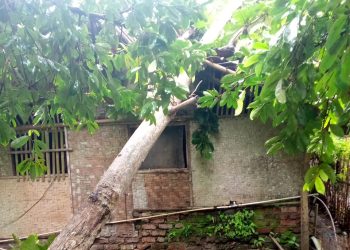 Di Warungkiara, Rumah Rusak dan Pohon Tumbang Akibat Disapu Angin Puting Beliung