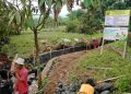Gapoktan Parakanlima Dapat Dukungan, Rehabilitasi Irigasi Pertanian Mulai Berjalan