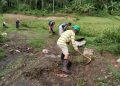 Kerja Bakti Rutin Warga Cijolang Jaga Kebersihan dan Akses Jalan Desa
